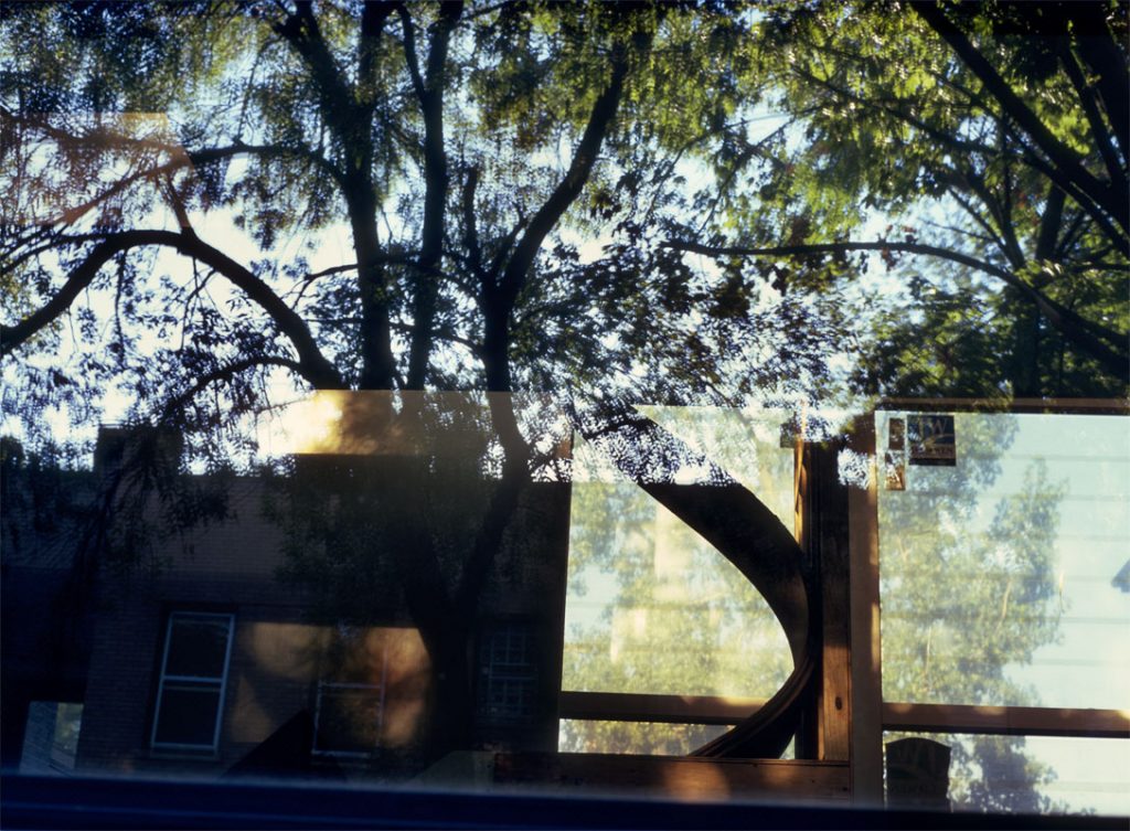 Peggy Casey-Friedman: Foreclosure