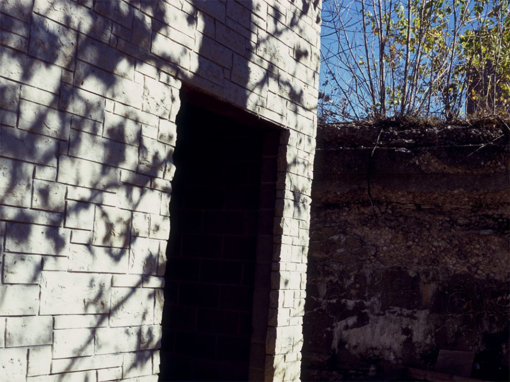 Peggy Casey-Friedman: Foreclosure