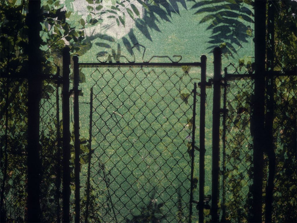 Peggy Casey-Friedman: Foreclosure