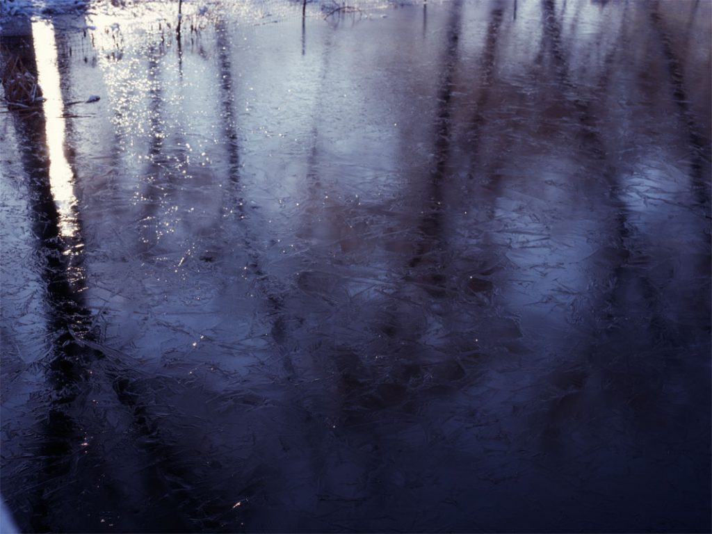 Peggy Casey-Friedman: Old Parks