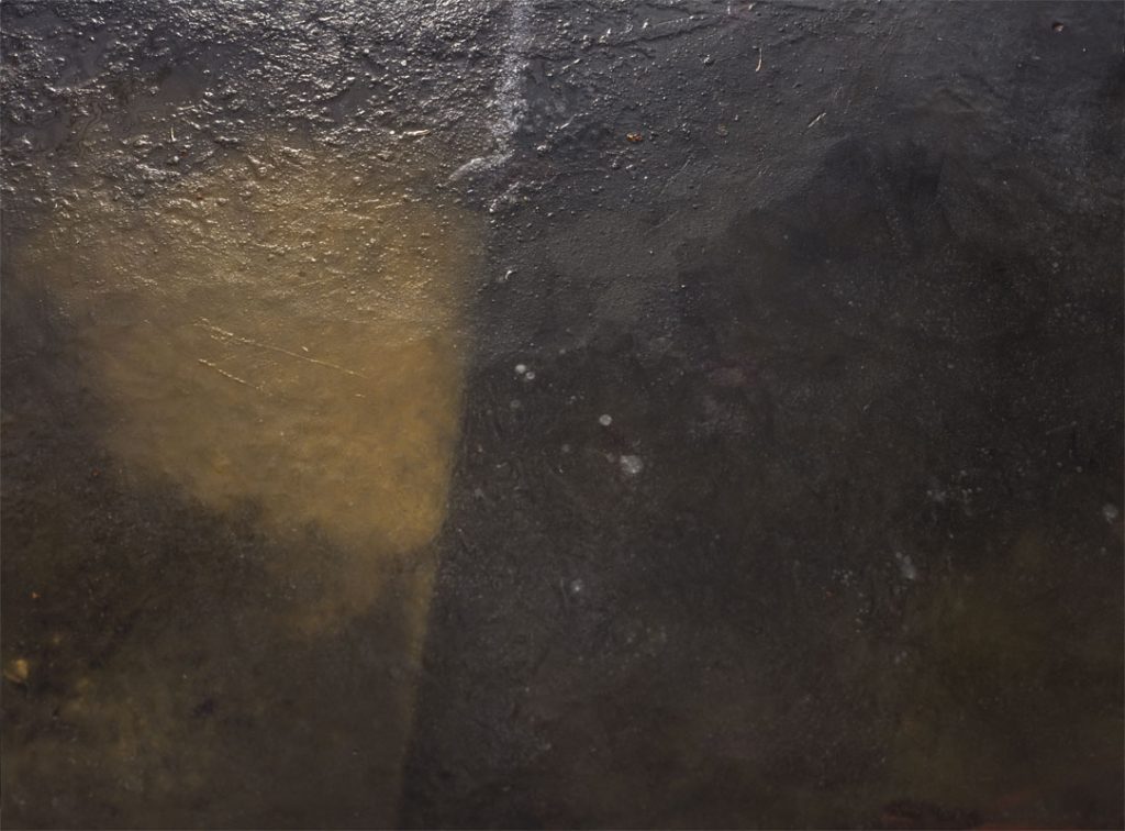 Peggy Casey-Friedman: Old Parks