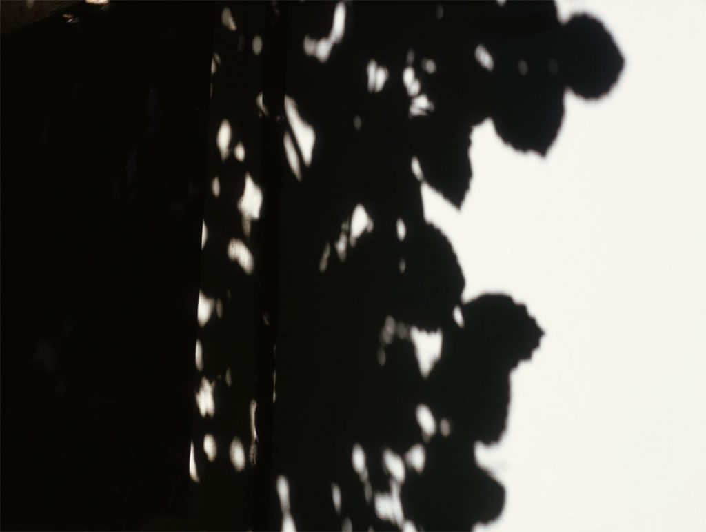 Peggy Casey-Friedman: Old Parks