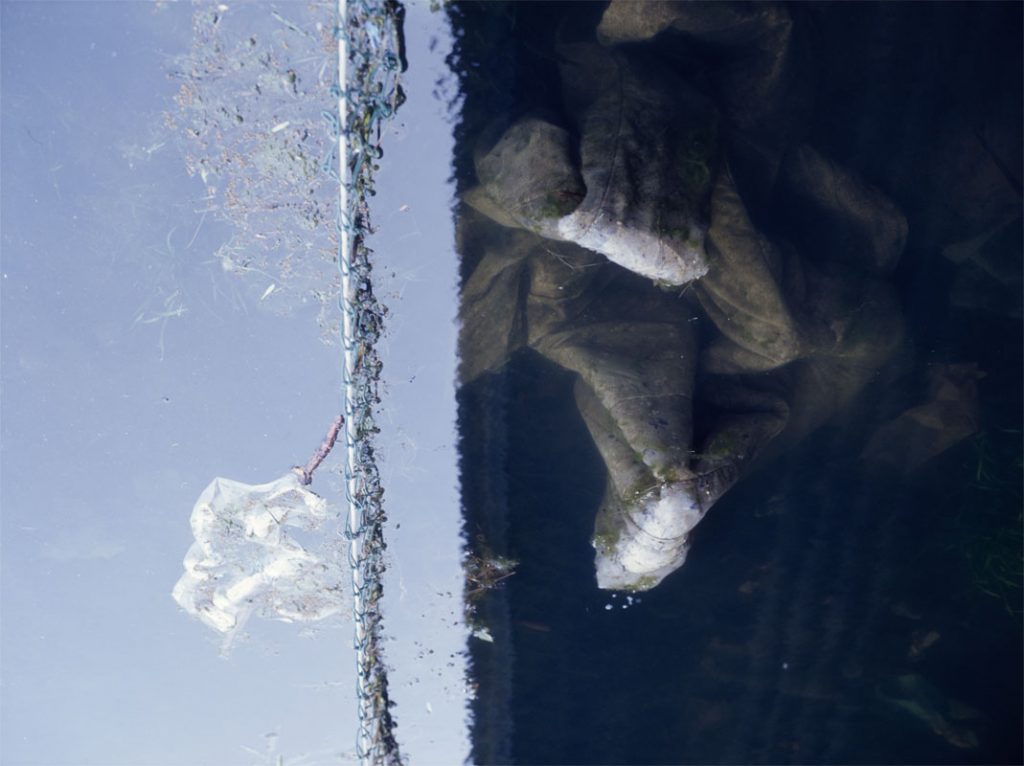 Peggy Casey-Friedman: Old Parks
