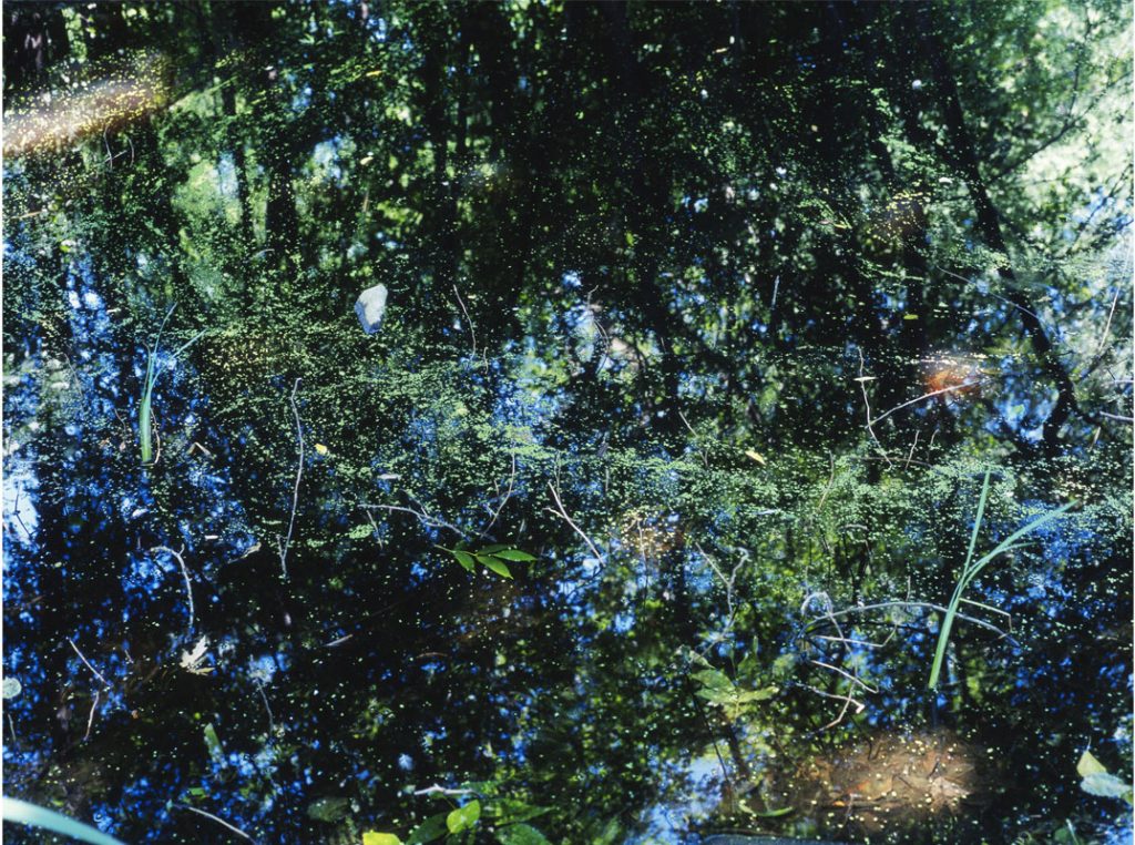 Peggy Casey-Friedman: Old Parks