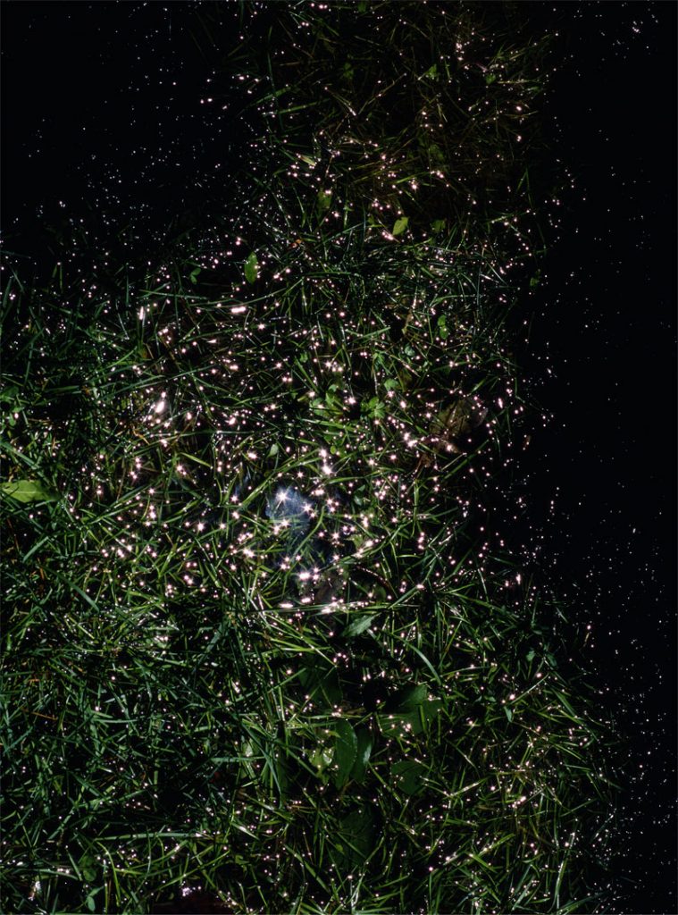 Peggy Casey-Friedman: Old Parks