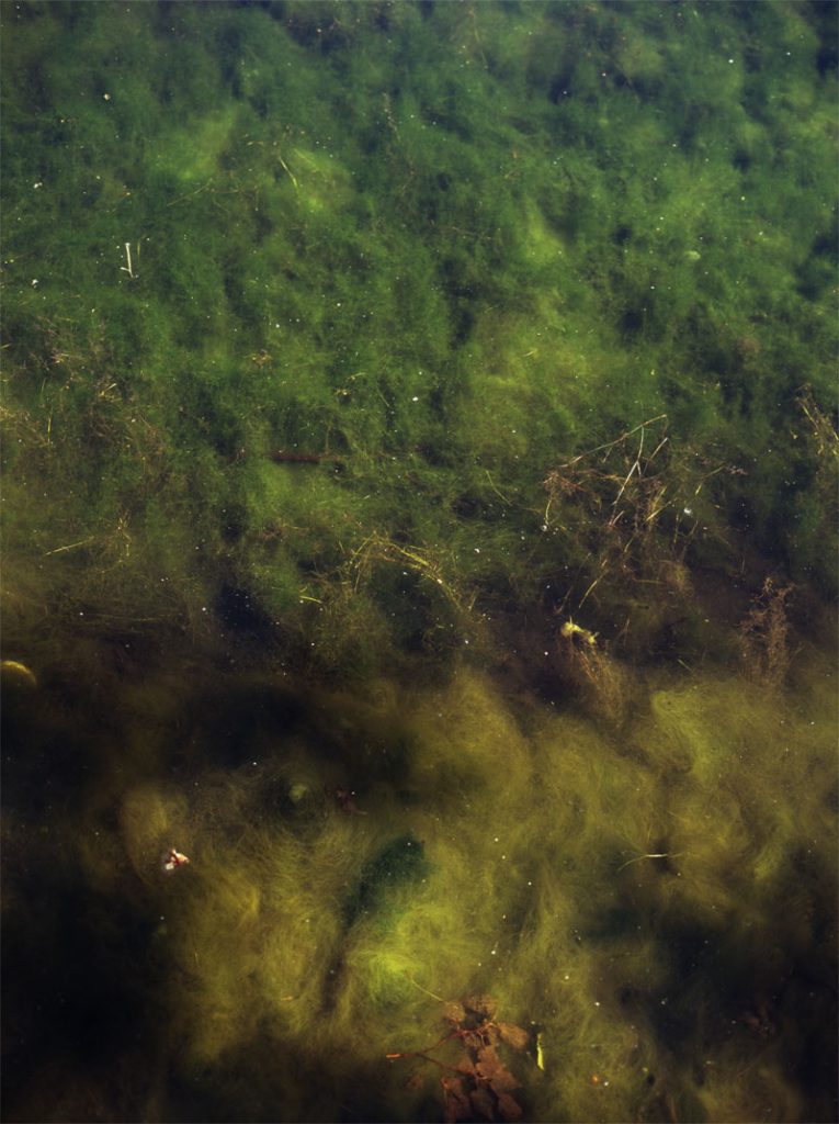 Peggy Casey-Friedman: Old Parks