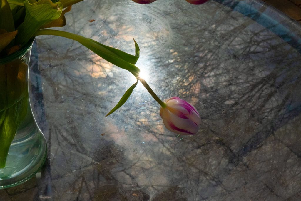 Peggy Casey-Friedman: Storm Glass