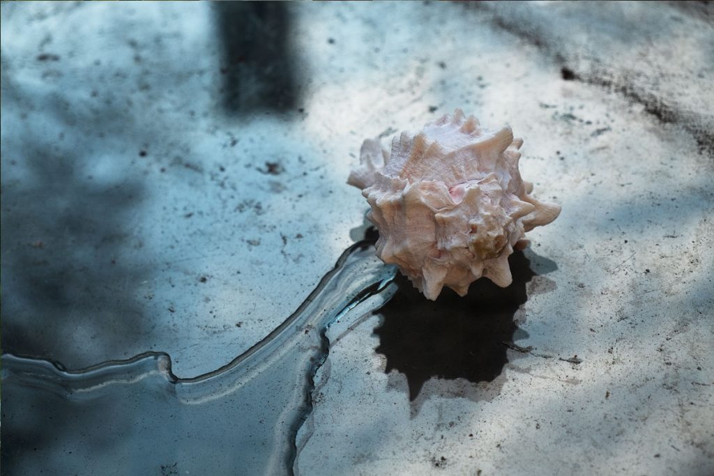 Peggy Casey-Friedman: Storm Glass