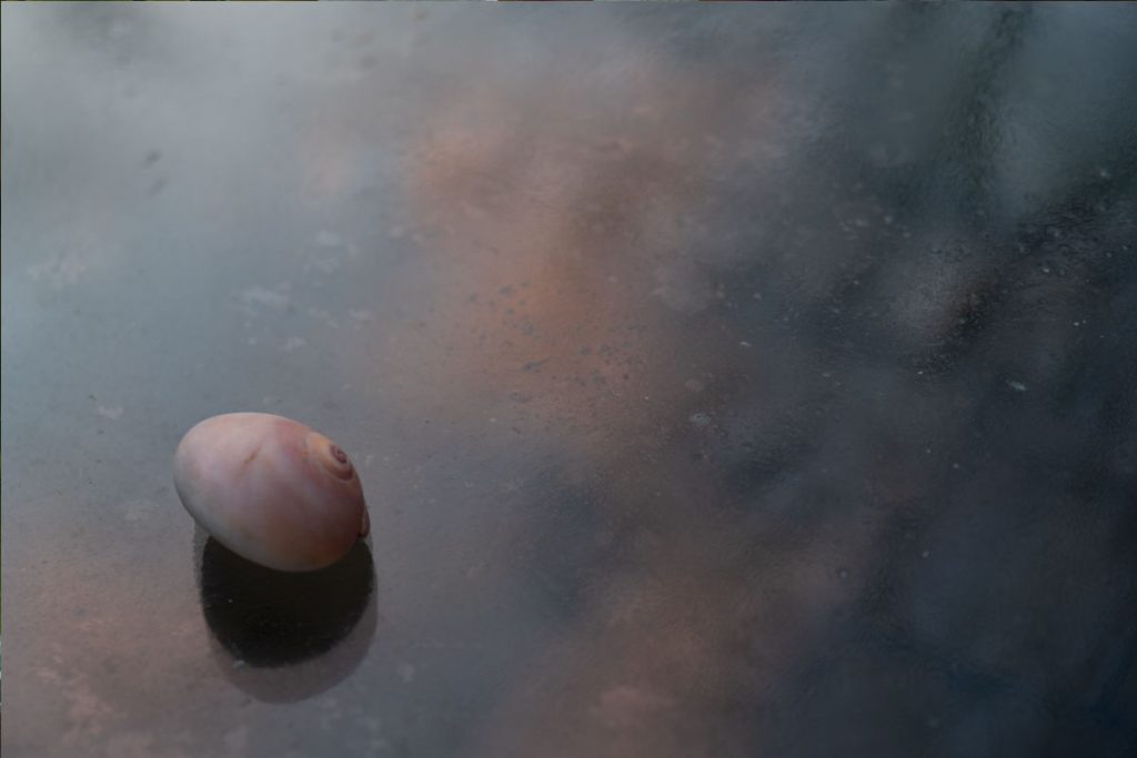 Peggy Casey-Friedman: Storm Glass