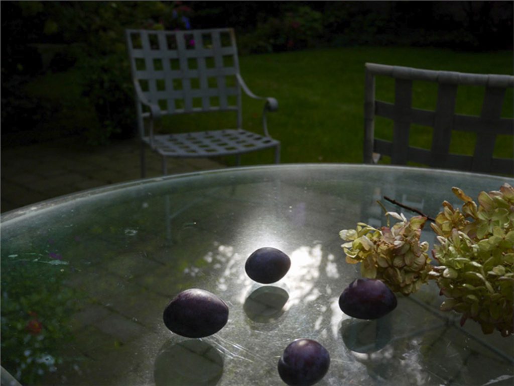 Peggy Casey-Friedman: Storm Glass