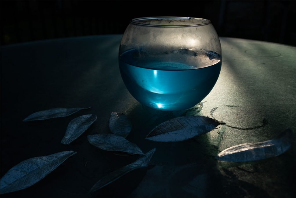 Peggy Casey-Friedman: Storm Glass