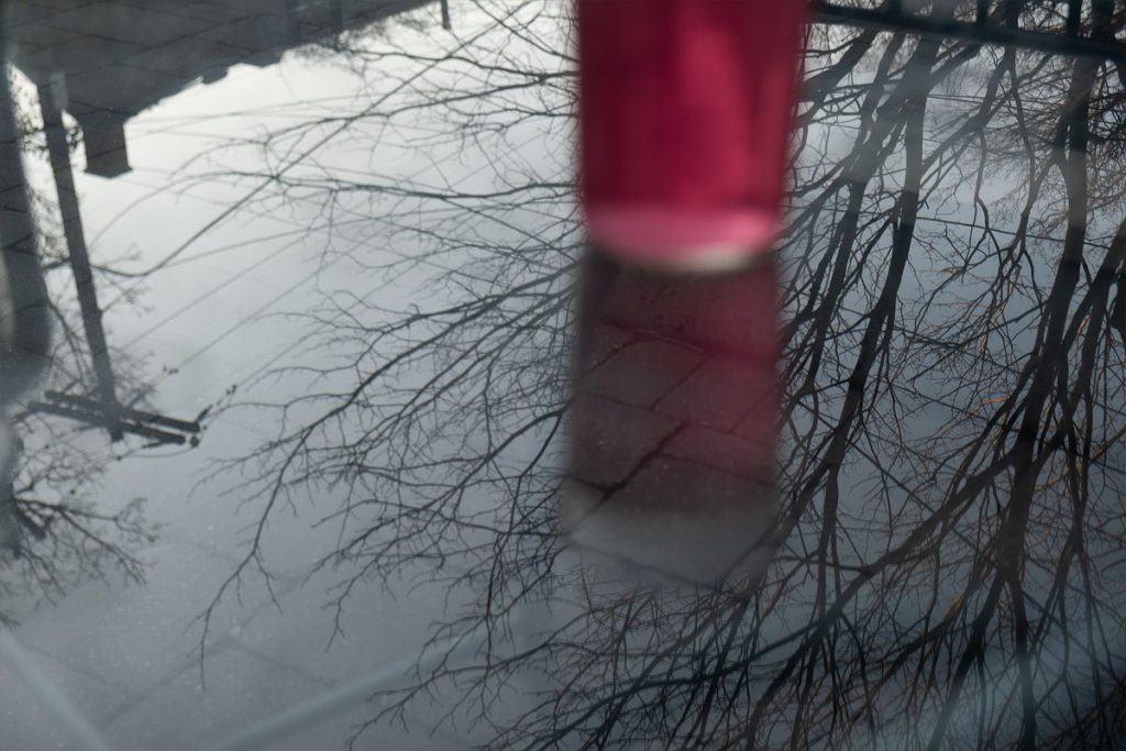 Peggy Casey-Friedman: Storm Glass