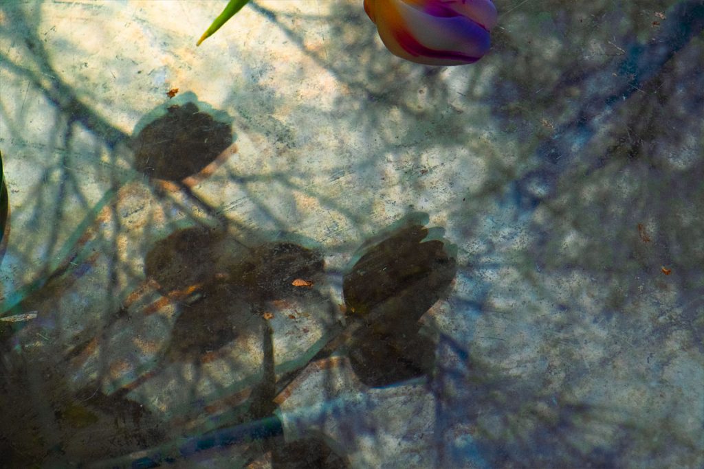 Peggy Casey-Friedman: Storm Glass