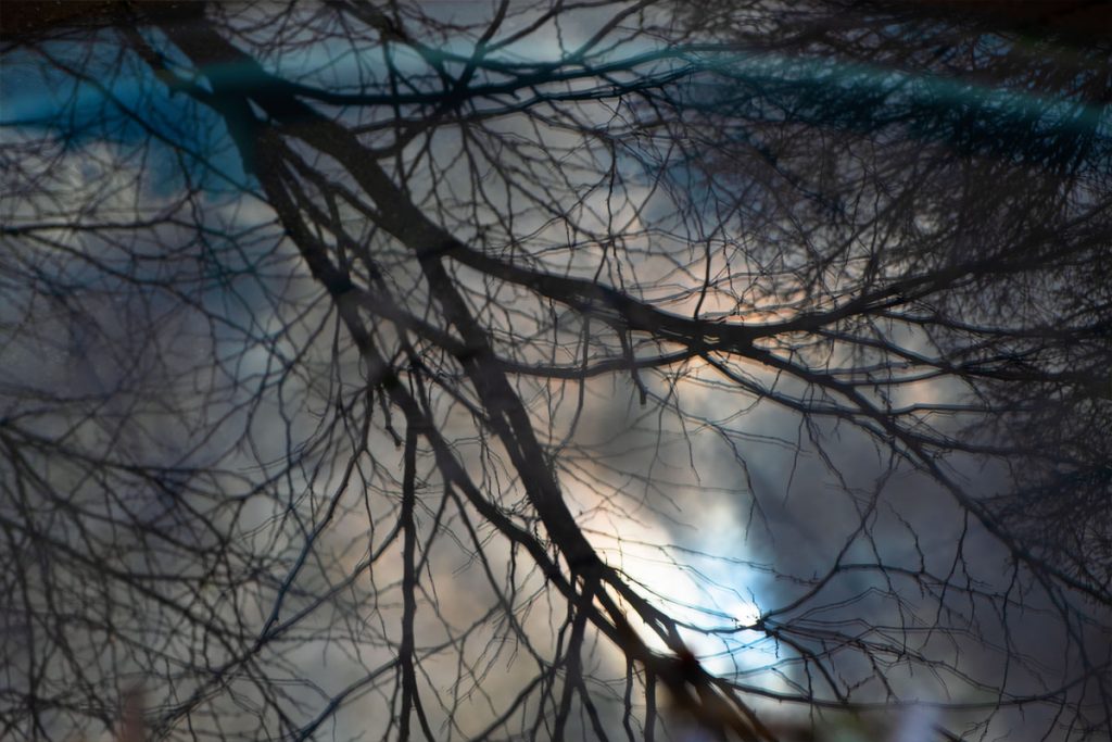 Peggy Casey-Friedman: Storm Glass