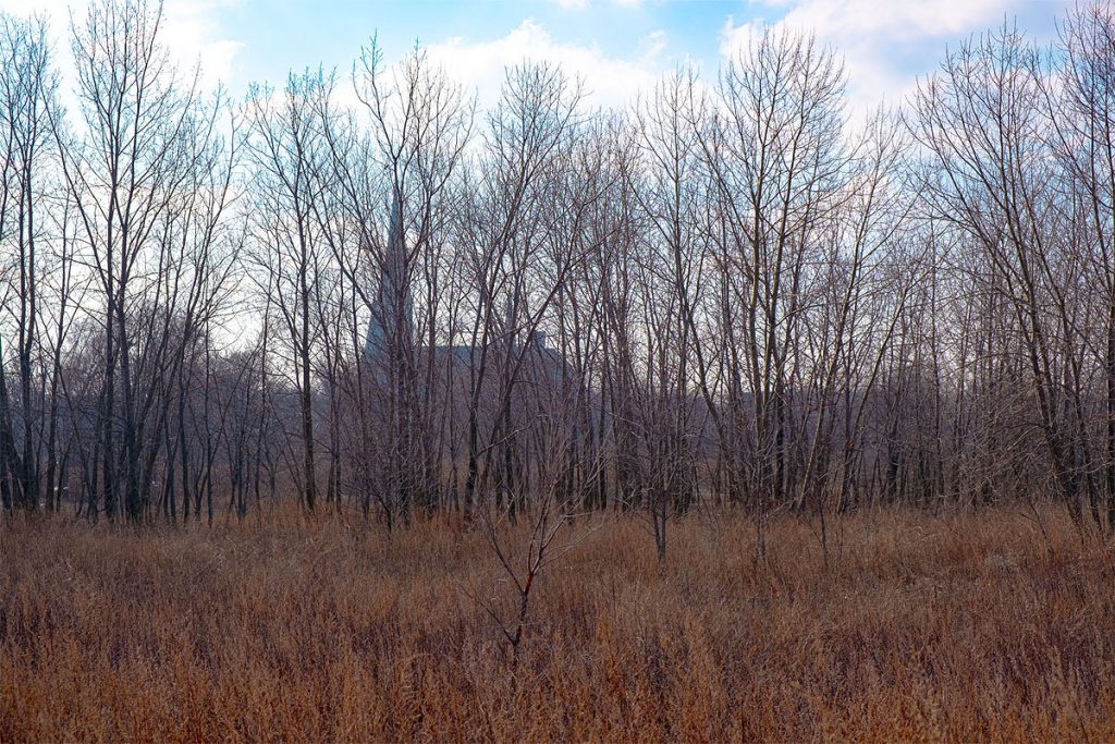 Peggy Casey-Friedman: Tracing the Flows