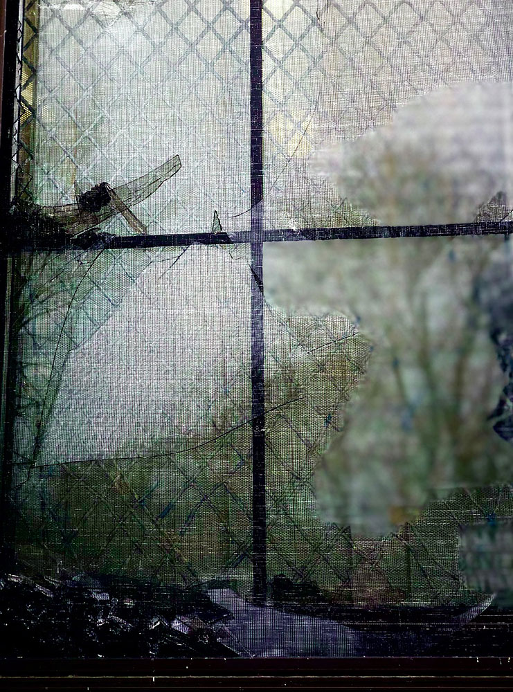 Peggy Casey-Friedman: Tracing the Flows