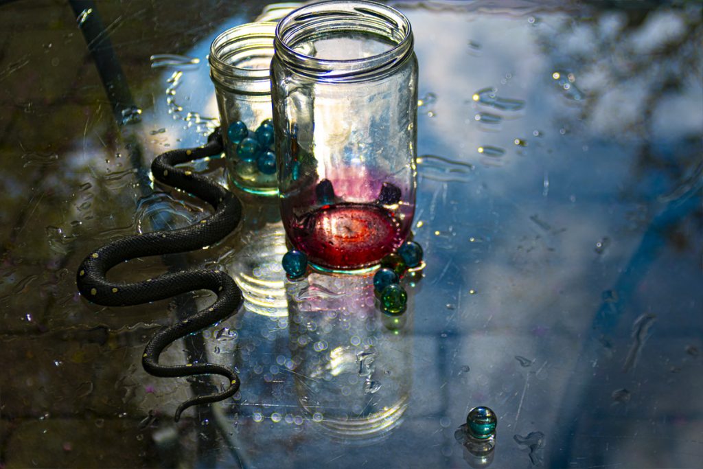 Peggy Casey-Friedman: Tempest in the Glass