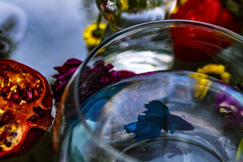 Peggy Casey-Friedman: Tempest in the Glass