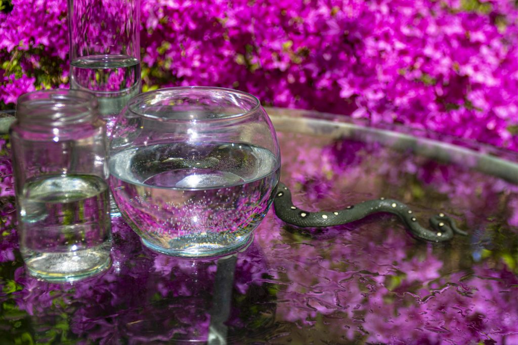 Peggy Casey-Friedman: Tempest in the Glass