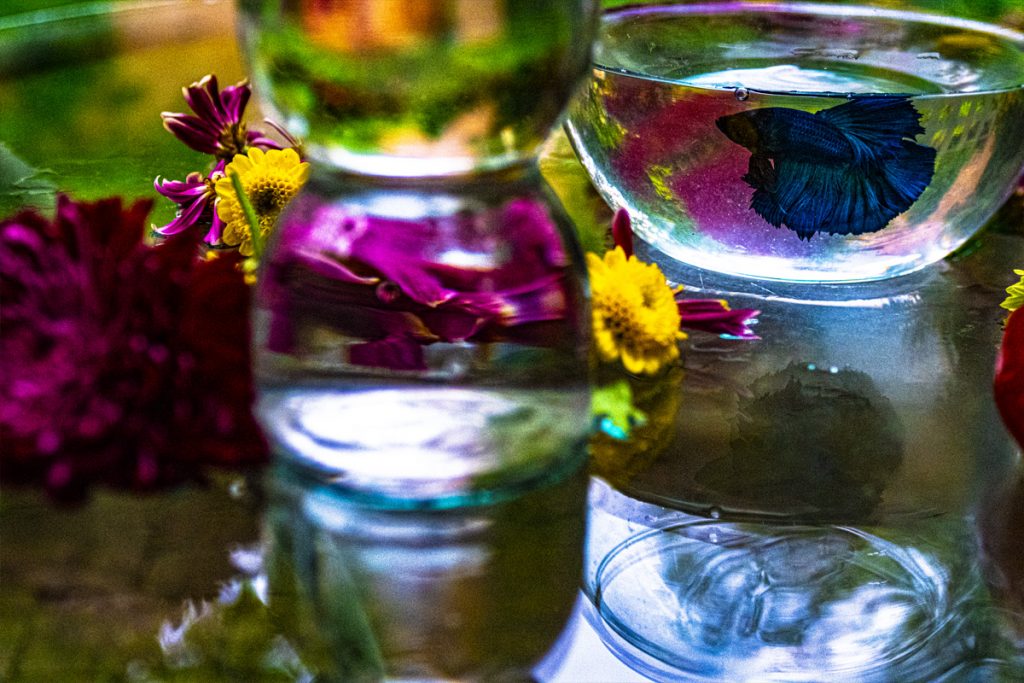 Peggy Casey-Friedman: Tempest in the Glass