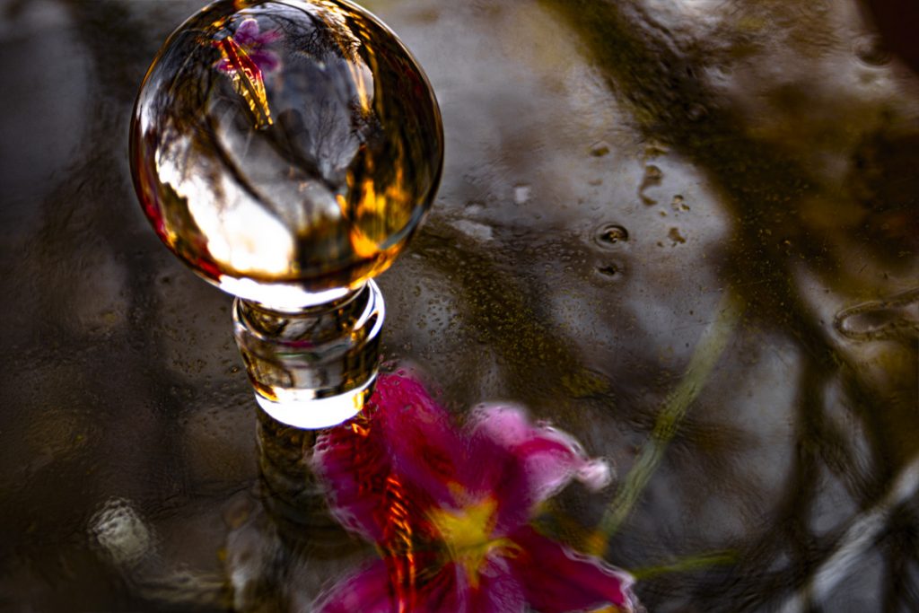 Peggy Casey-Friedman: Tempest in the Glass
