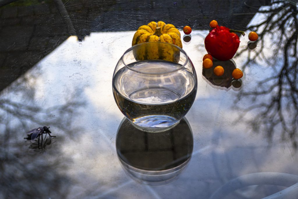 Peggy Casey-Friedman: Tempest in the Glass