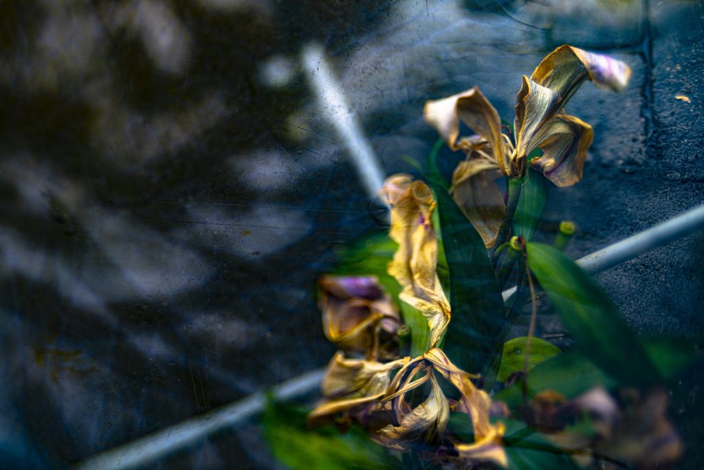 Peggy Casey-Friedman: Tempest in the Glass - Submerged