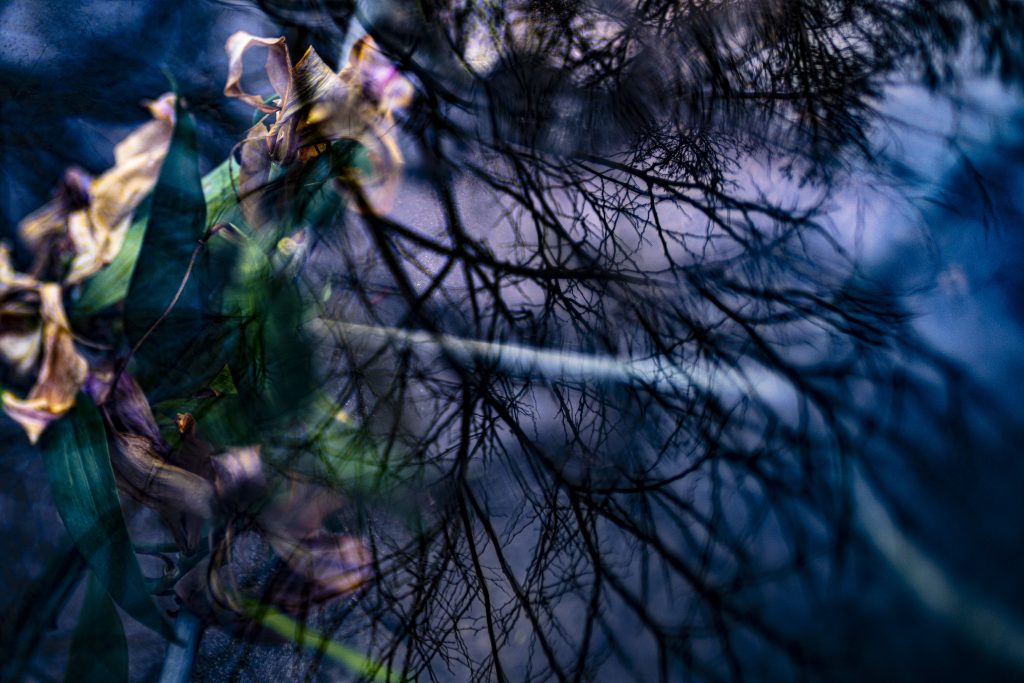 Peggy Casey-Friedman: Tempest in the Glass - Submerged