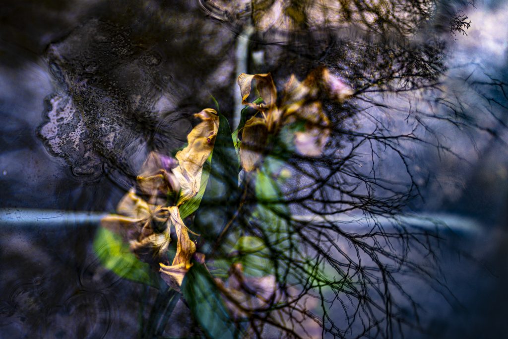 Peggy Casey-Friedman: Tempest in the Glass - Submerged