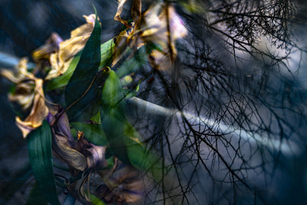 Peggy Casey-Friedman: Tempest in the Glass - Submerged