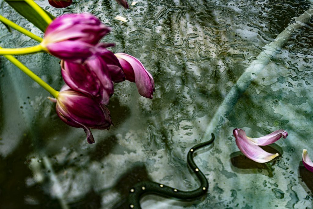 Peggy Casey-Friedman: Tempest in the Glass - Triptych