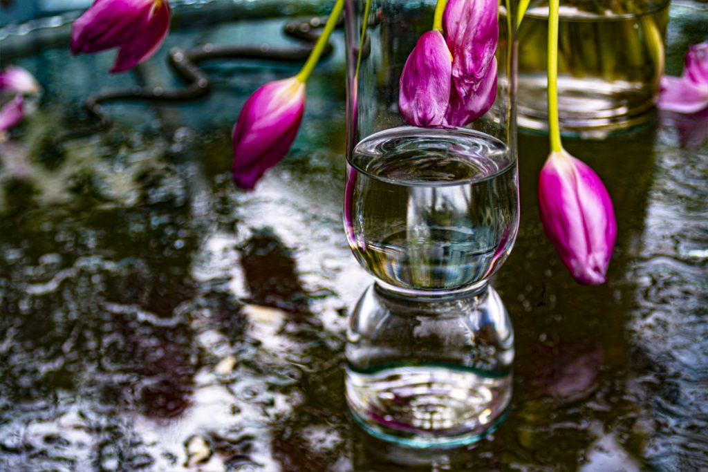 Peggy Casey-Friedman: Tempest in the Glass - Triptych