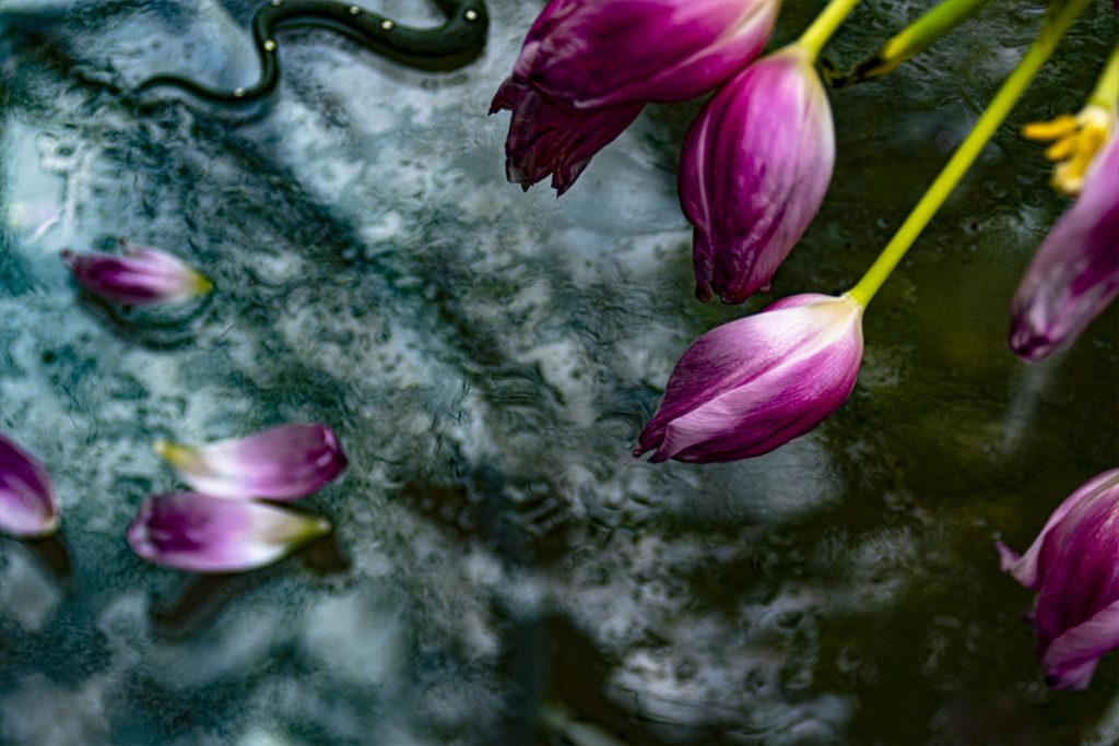 Peggy Casey-Friedman: Tempest in the Glass - Triptych